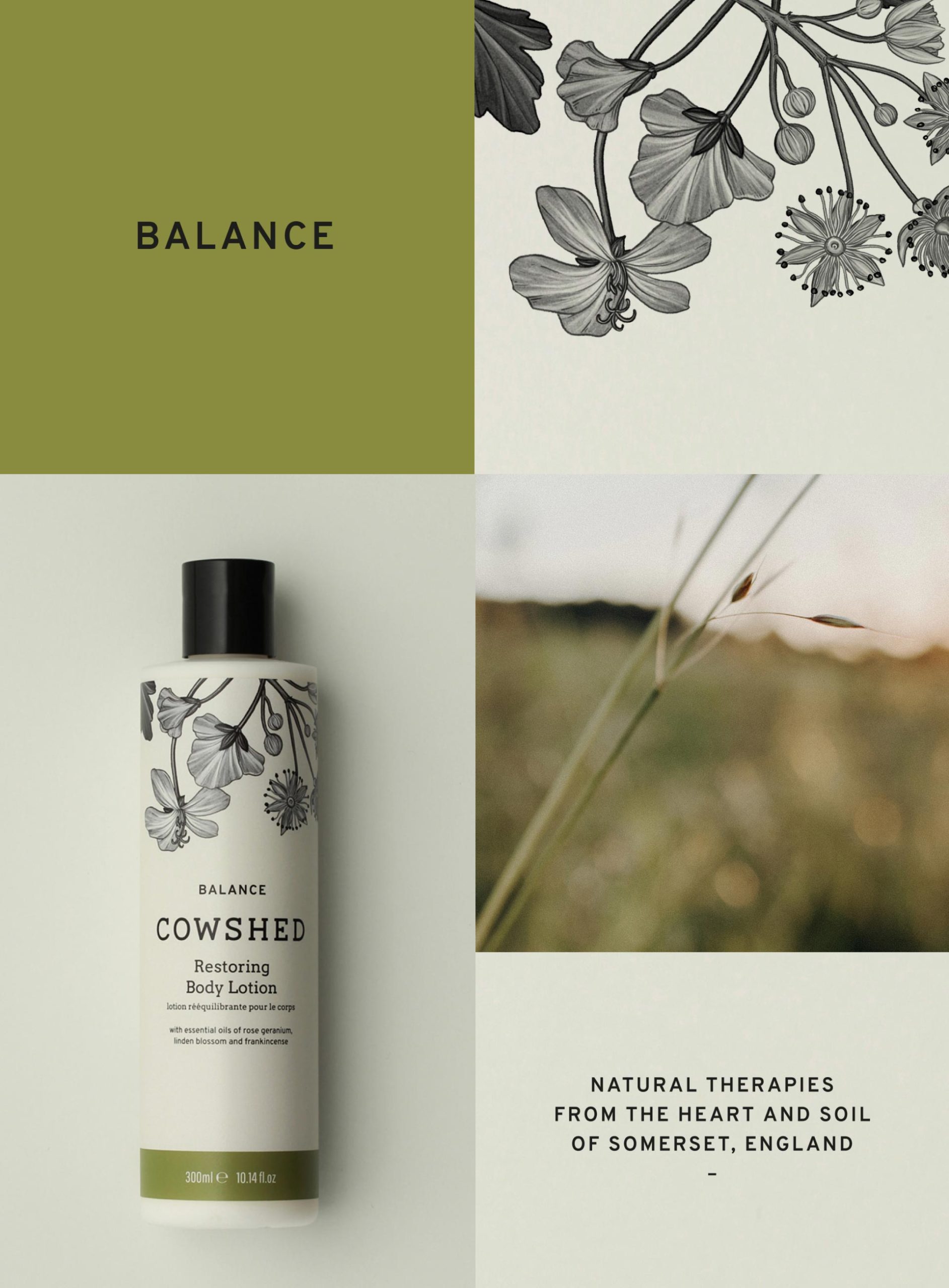Packaging Design By Spinach Design Agency London London Design Agency Spinach