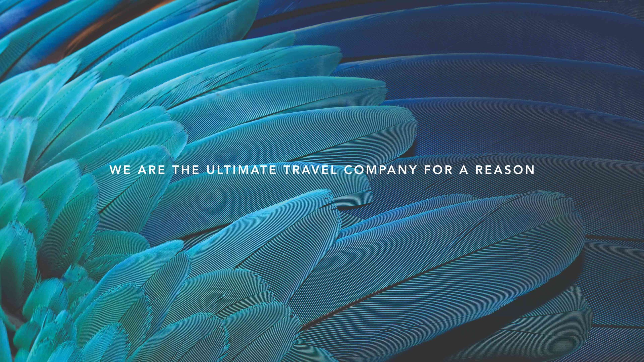 Brand positioning and visual identity for The Ultimate Travel Company by London-based branding agency Spinach Branding