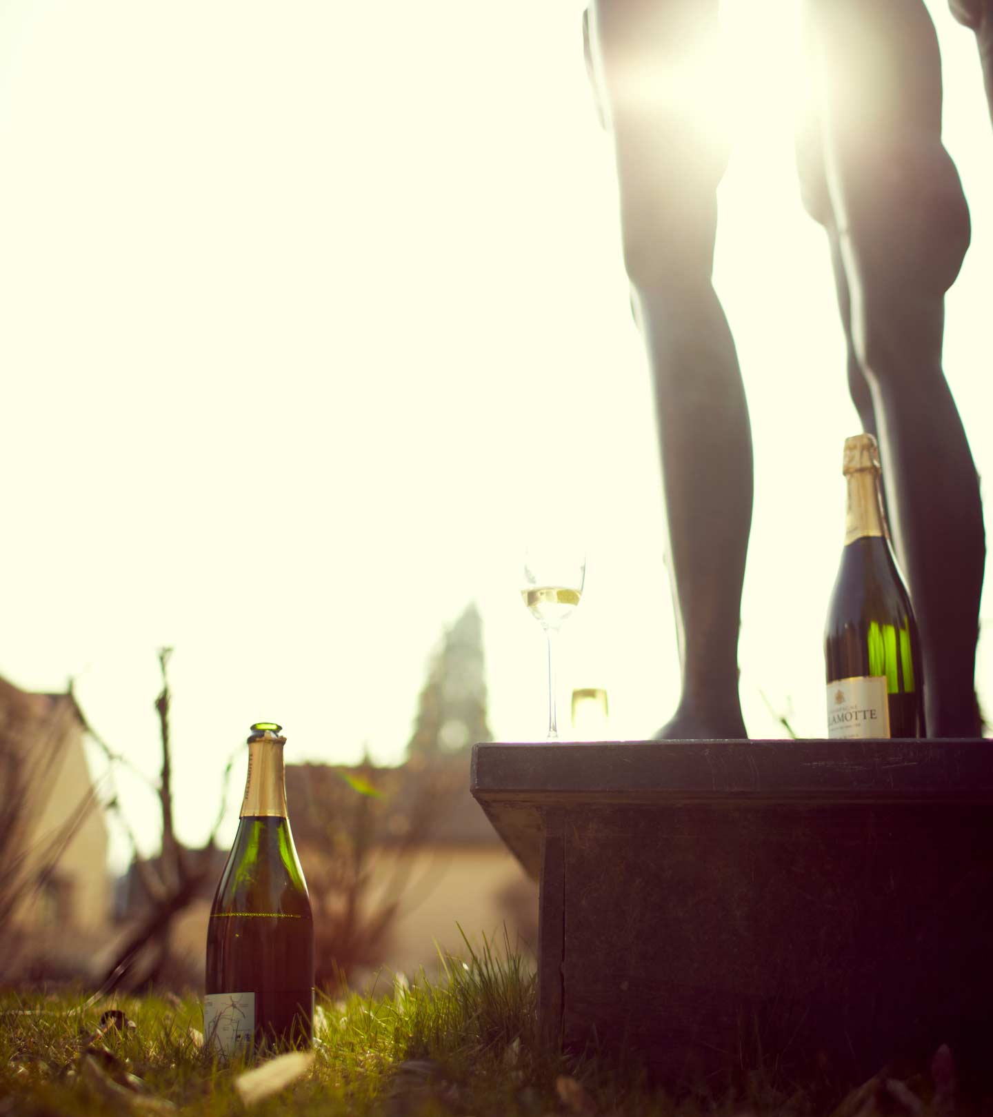 Champagne Delamotte Photoshoot