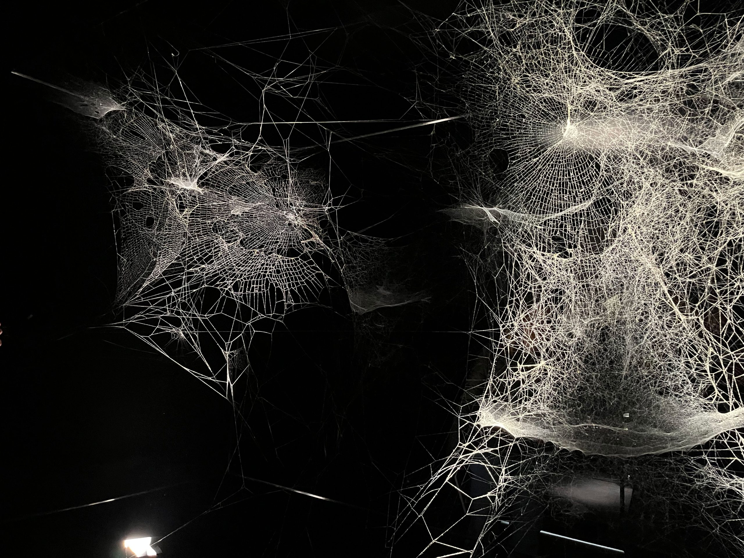 Tomás Saraceno in Collaboration: Web[s] of Life at Serpentine South gallery in 2023